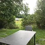 Des Tournesols Ecaquelon