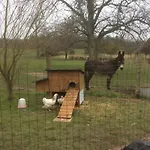 Des Tournesols Dom wakacyjny Ecaquelon