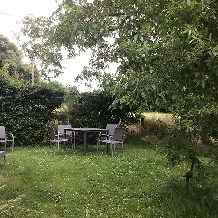 Des Tournesols Ecaquelon