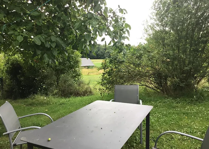 Des Tournesols Ecaquelon