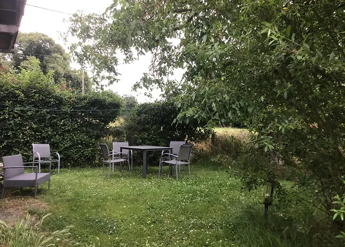 Des Tournesols Ecaquelon